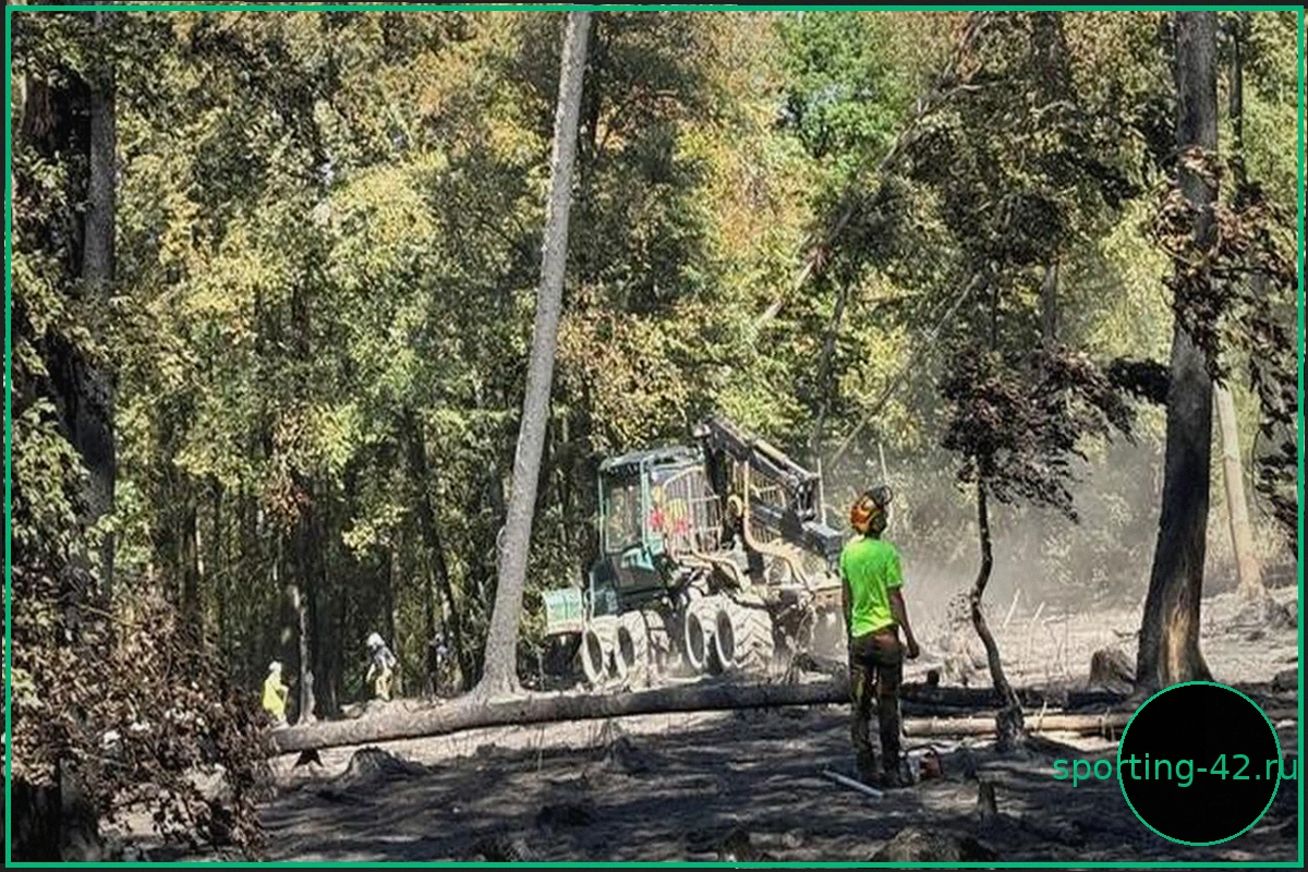 Пожар: Пожарные обнаружили новый очаг возгорания под Бад-Швальбахом